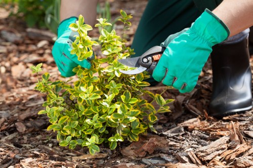 Two gardeners removing green waste from a small urban yard