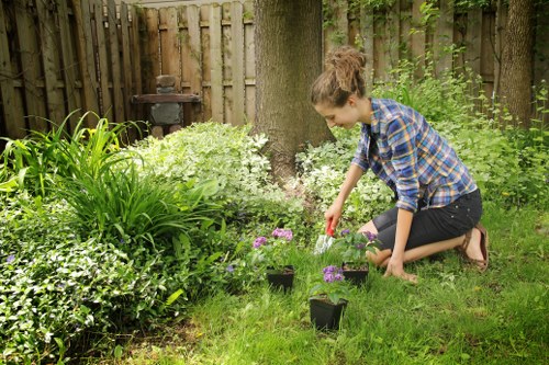 Sustainable landscaping practices with water conservation features in Mottingham