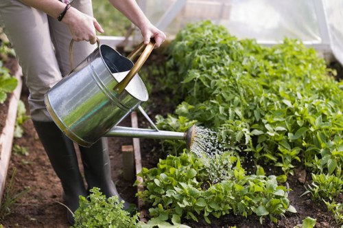 Efficient garden clearance process in Mottingham