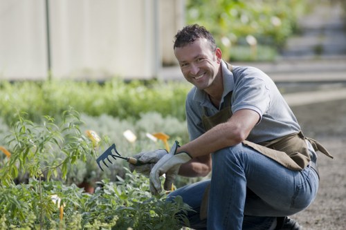 Efficient irrigation system in a Mottingham landscape garden