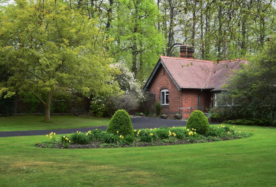 A well-maintained front garden with a lush green lawn and a curved flower bed in the foreground, featuring blooming yellow flowers and small, neatly trimmed conical shrubs. A paved driveway runs behin